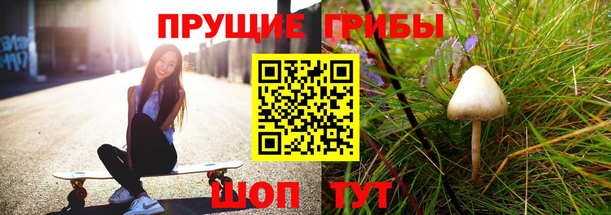 Донской  Псилоцибиновые грибы мухоморы  Вход с VPN 
